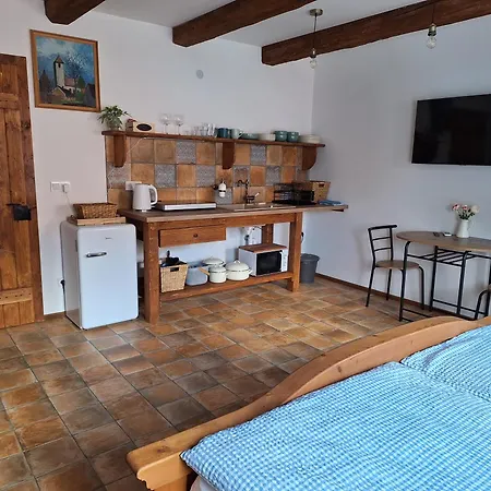 아파트 Ve Starem Pivovaru